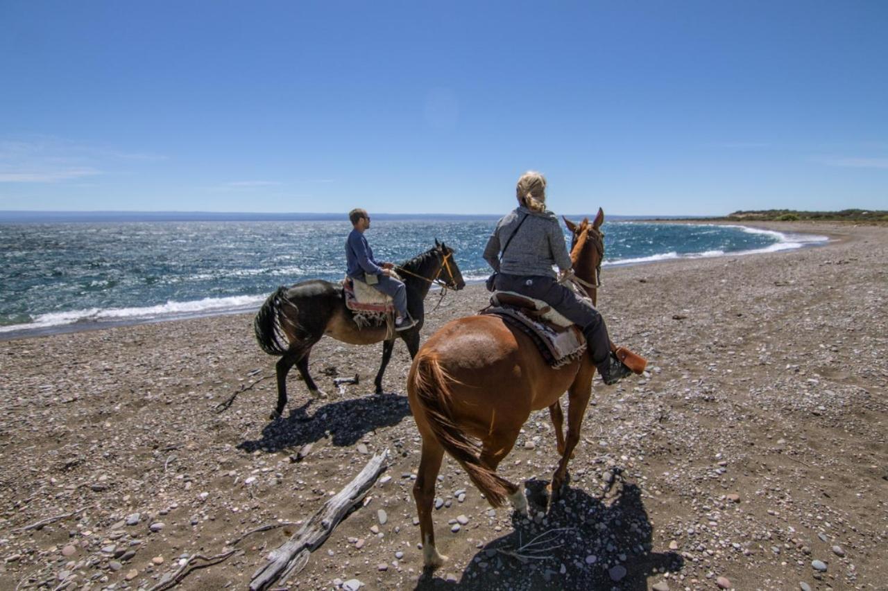 Estancia La Serena Perito Moreno Ngoại thất bức ảnh